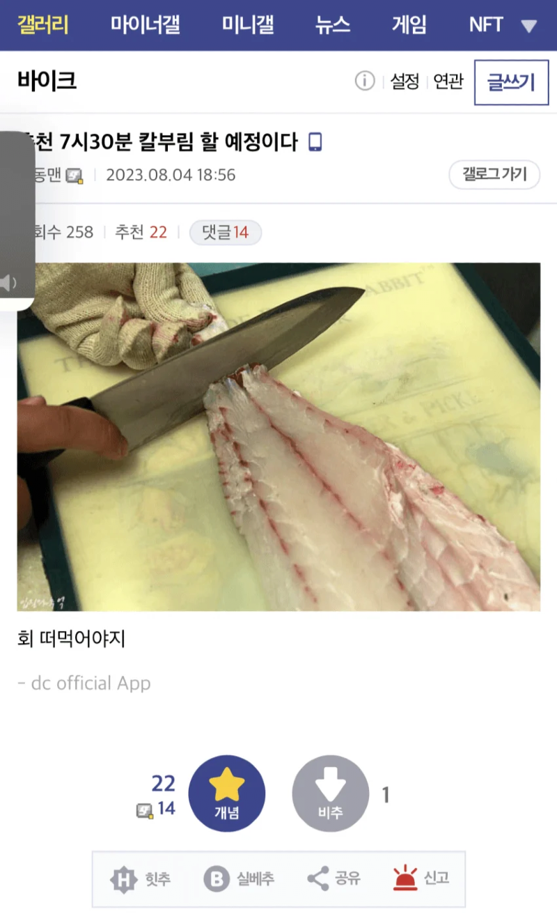 춘천 칼부림남 구속 후기 올라옴.png